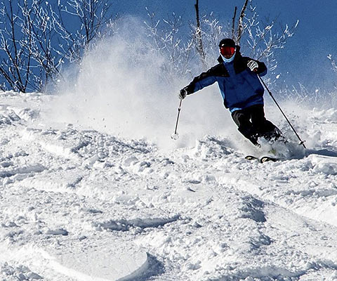 日陰のパウダー